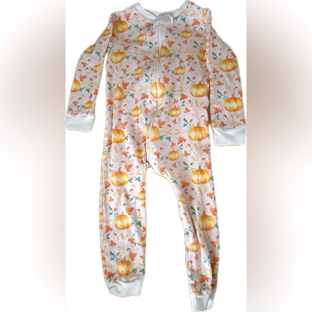 Adorable 1 Piece Girl/Toddler Bodysuit Size 2T, Multicolored